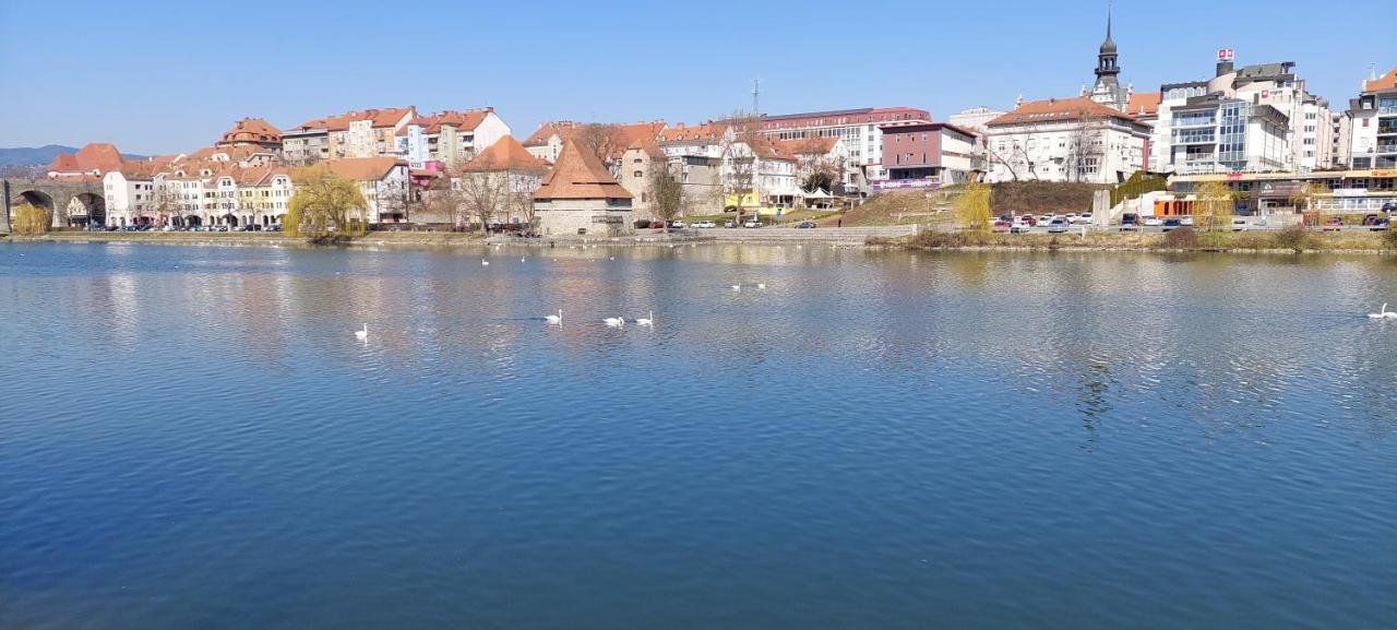 La Studio Maribor Exterior foto